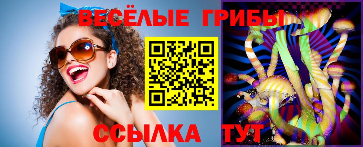 Псилоцибиновые грибы мухоморы  Вход с VPN  Галлюциногенные грибы Psilocybine cubensis  Красный Сулин 
